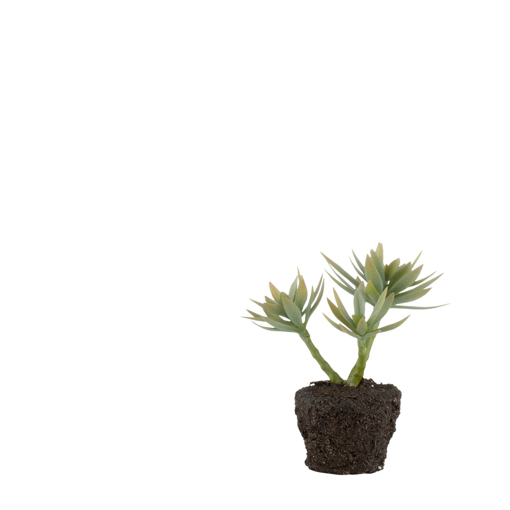 greige Faux Succulent Plant in Soil