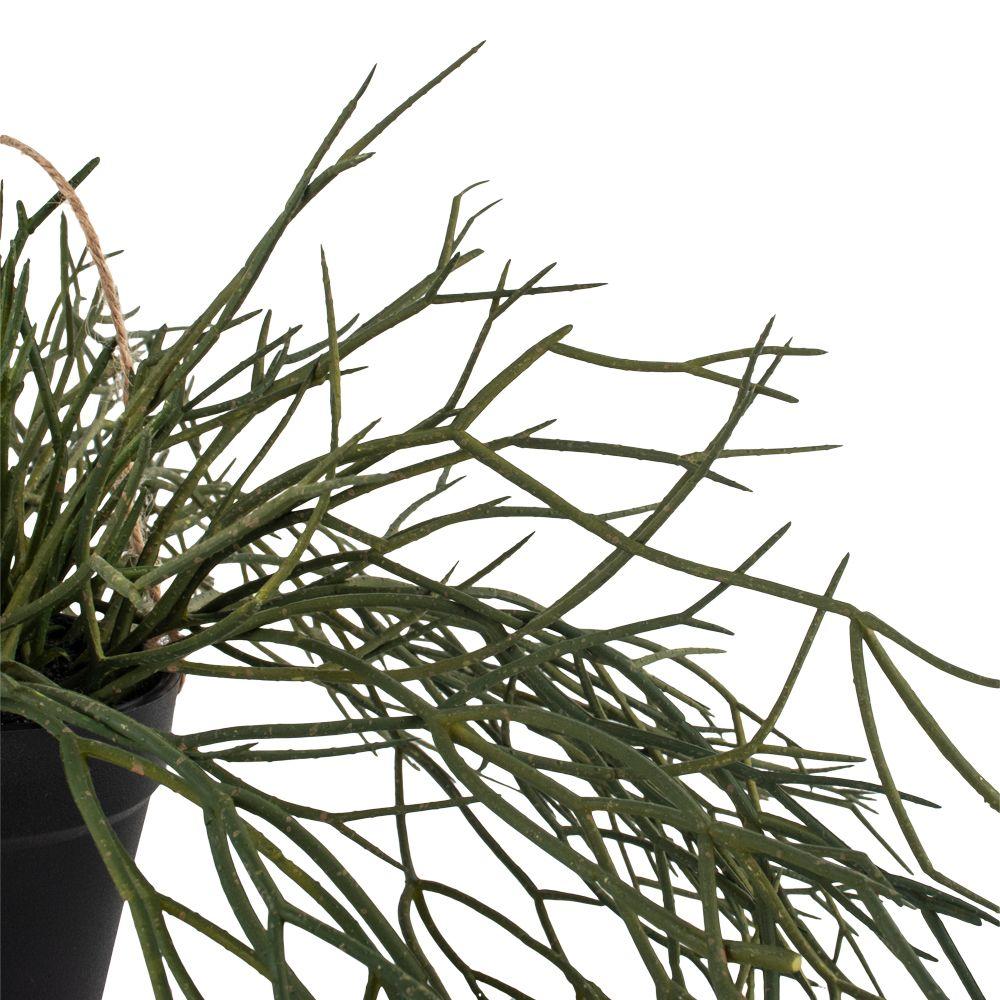 Greige Faux Trailing Grass In Pot