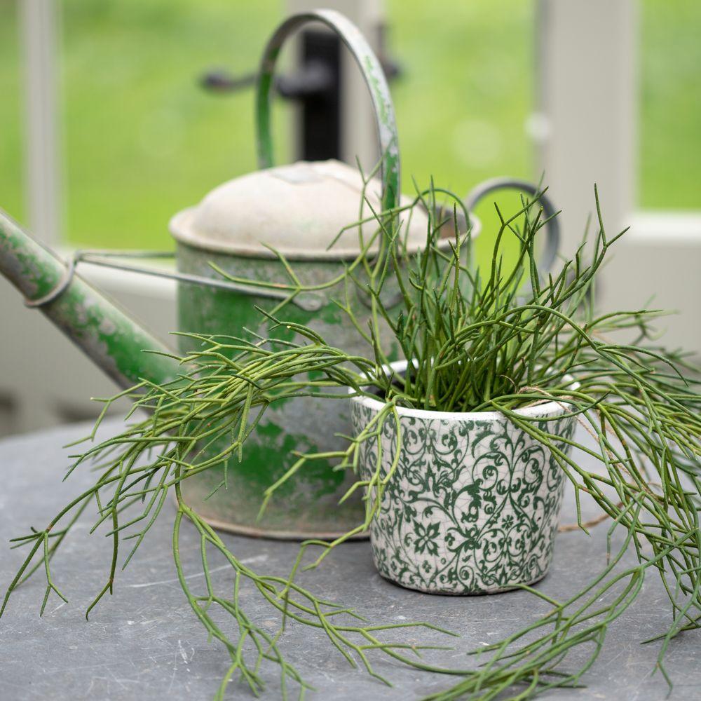 greige Faux Trailing Grass in Pot