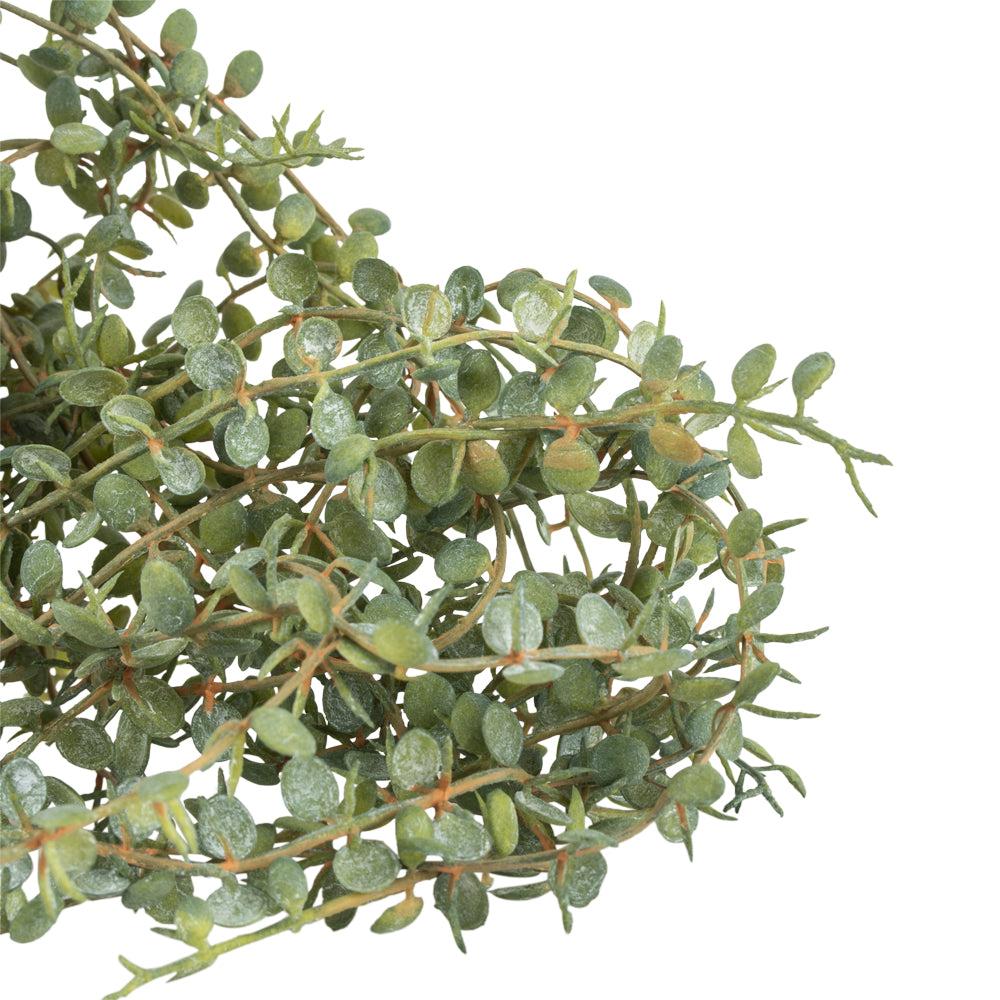 Greige Faux Trailing Senecio In Pot