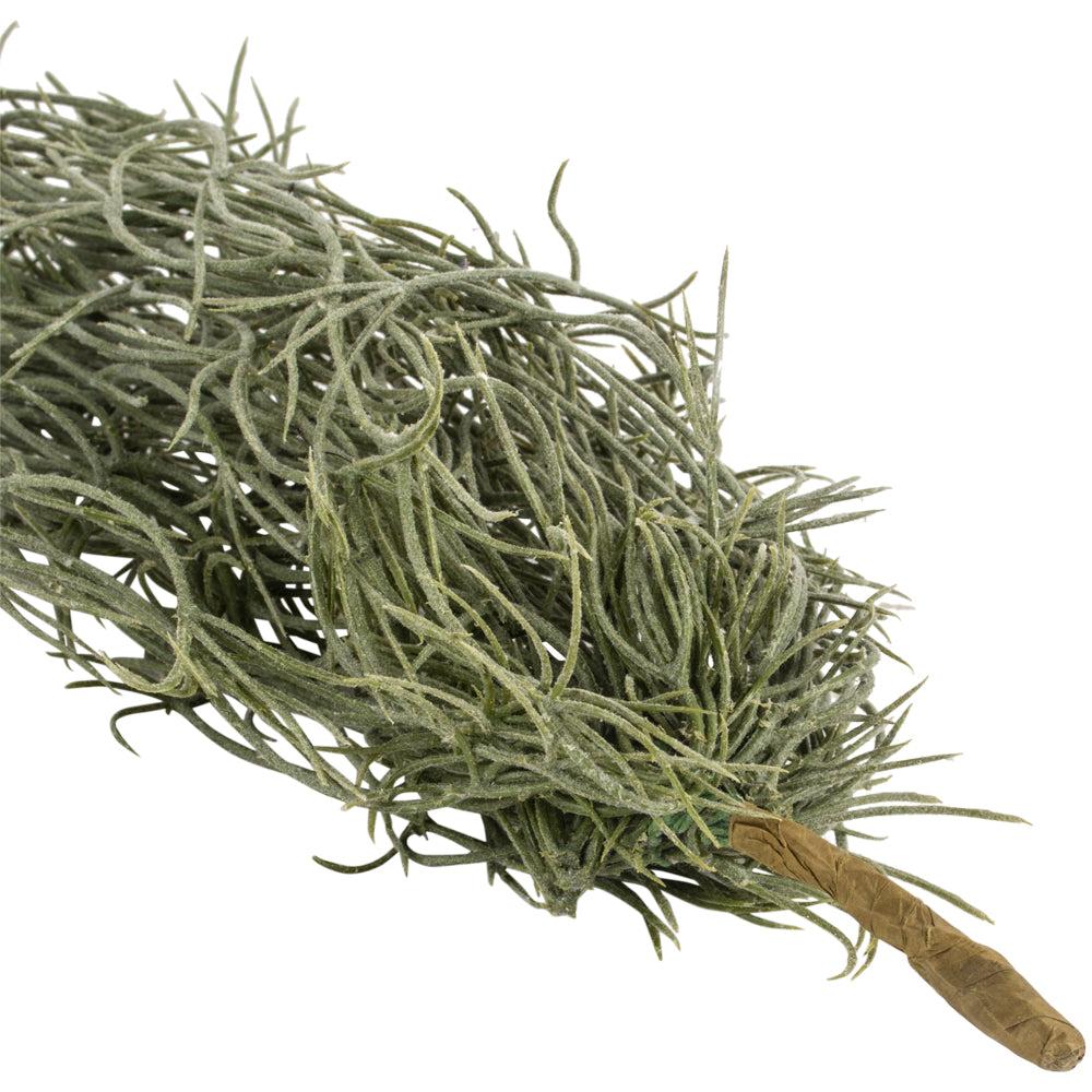 Greige Faux Trailing Tillandsia