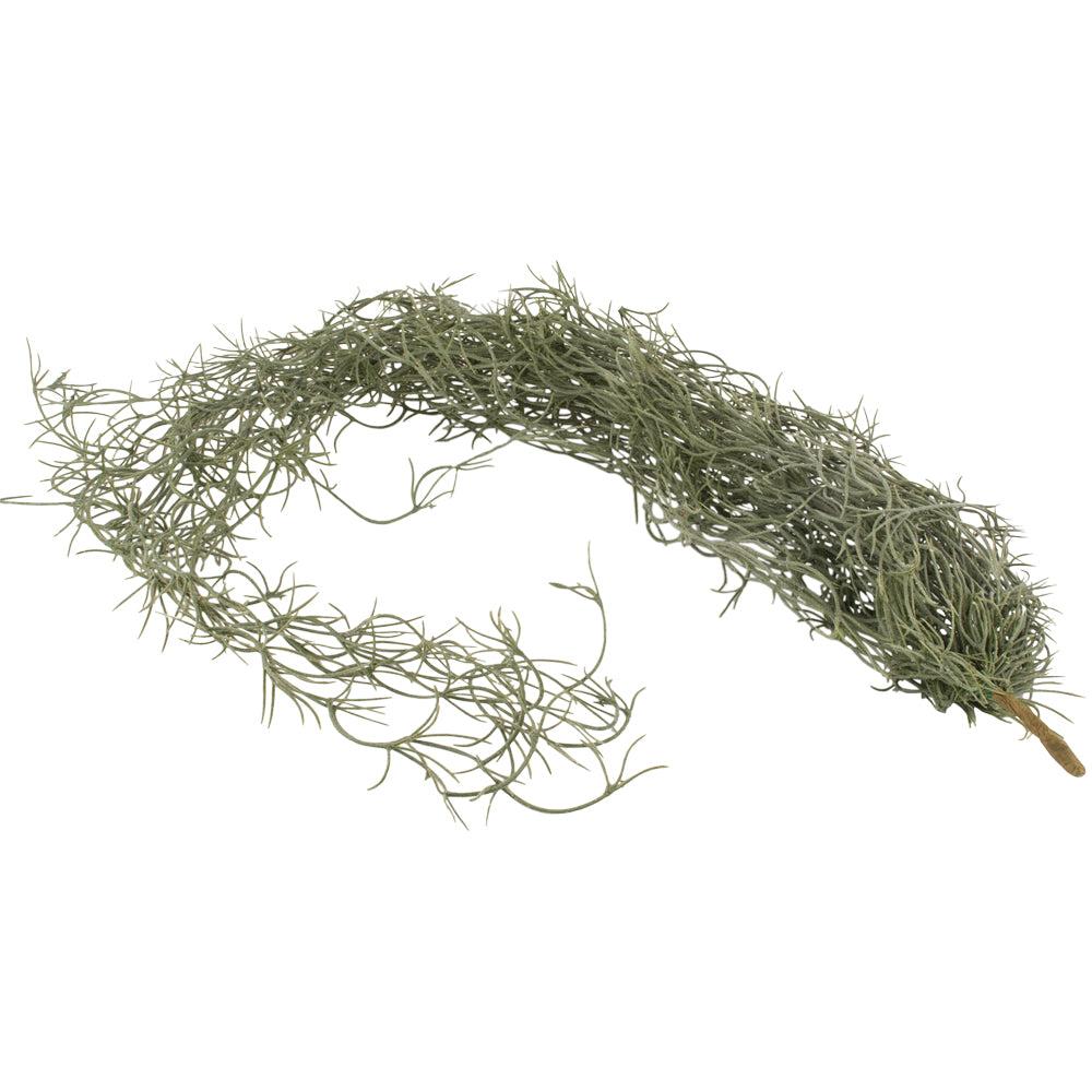 greige Faux Trailing Tillandsia