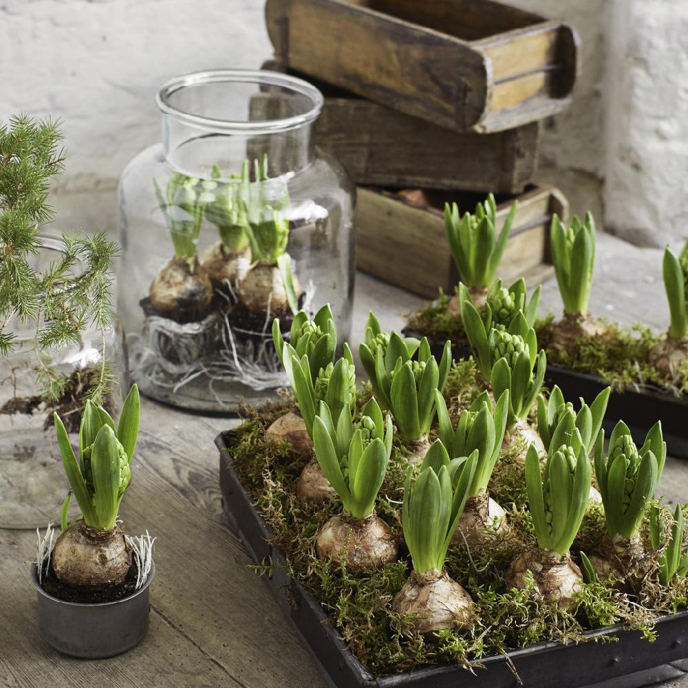 Greige Glass Bottle Vase - Three Size Options