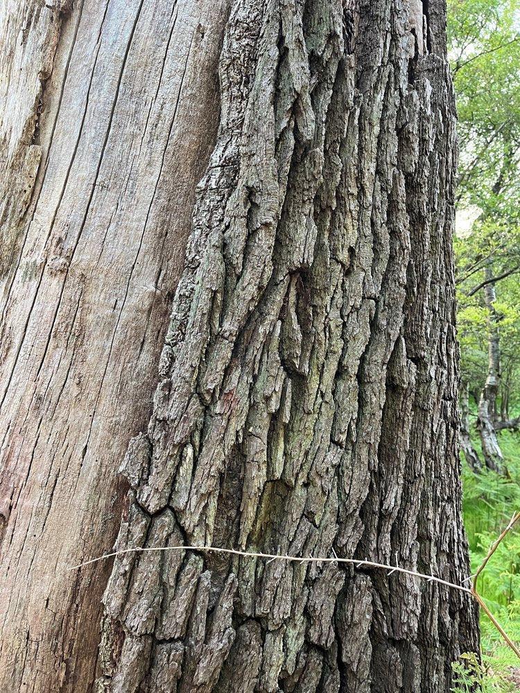 Greige Handmade Momigami Paper Lamp