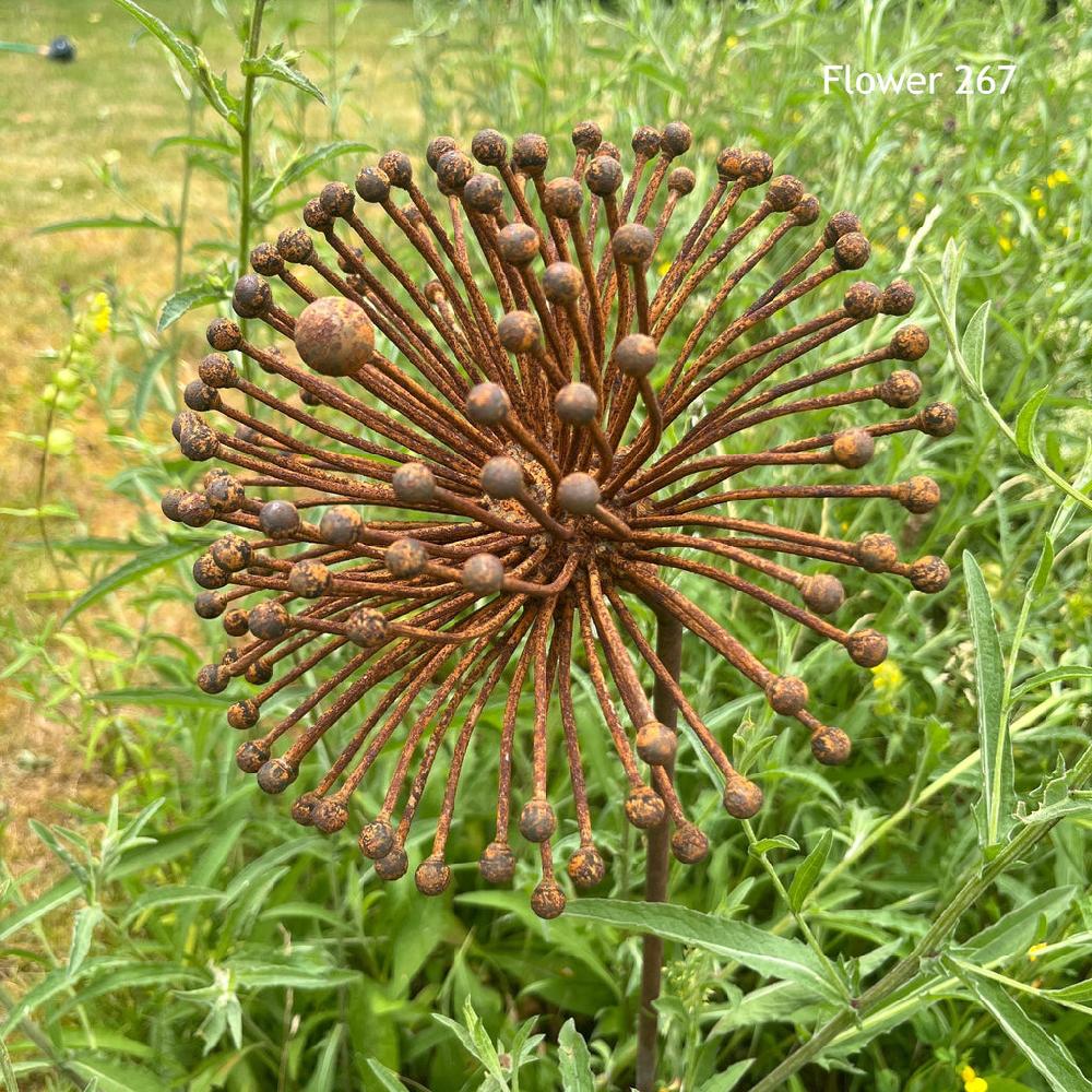 Greige Handmade Rusty Iron Stems - Group A