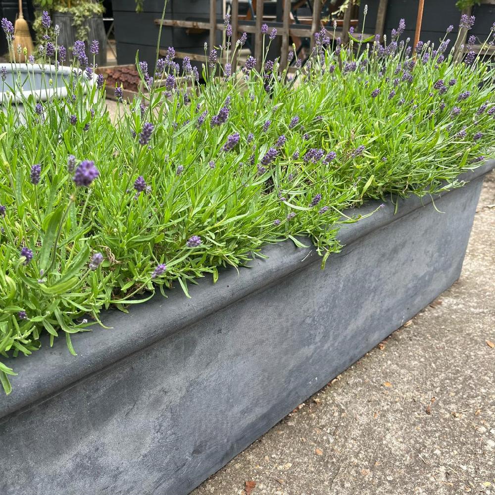 Greige Large Trough Planter - Antique Lead Effect