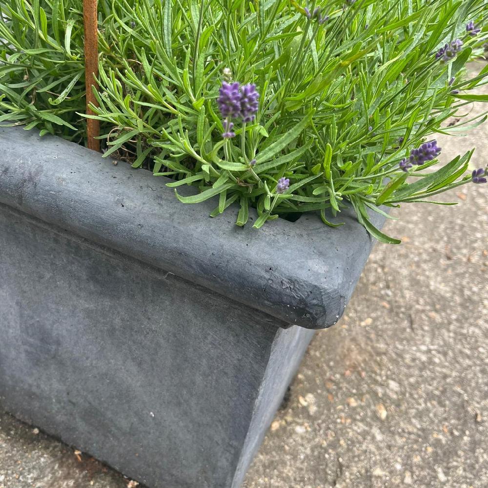Greige Large Trough Planter - Antique Lead Effect
