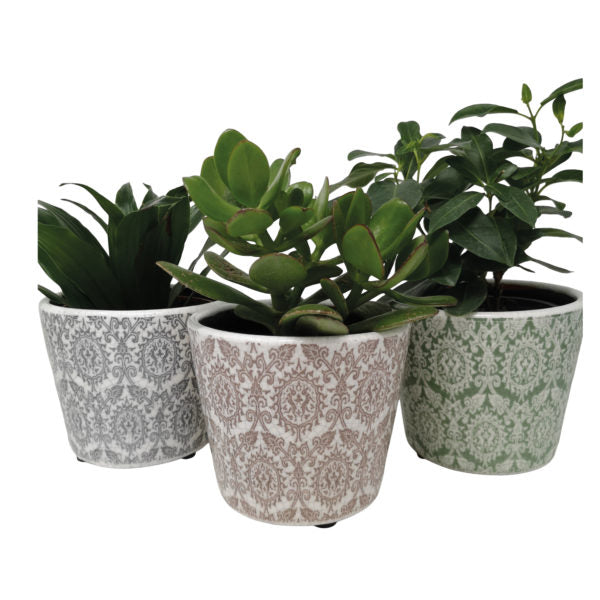 Greige Plant Pot Delphi Mixed Colours - Set Of Six