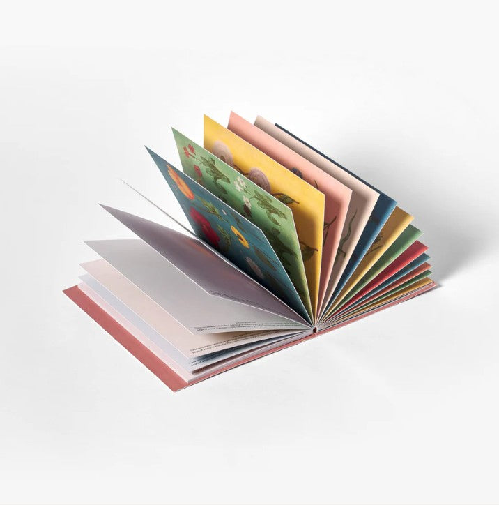 Greige Postcard Book - Festival Of Flowers