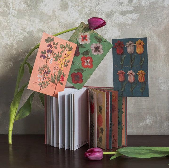 greige Postcard Book - Festival of Flowers