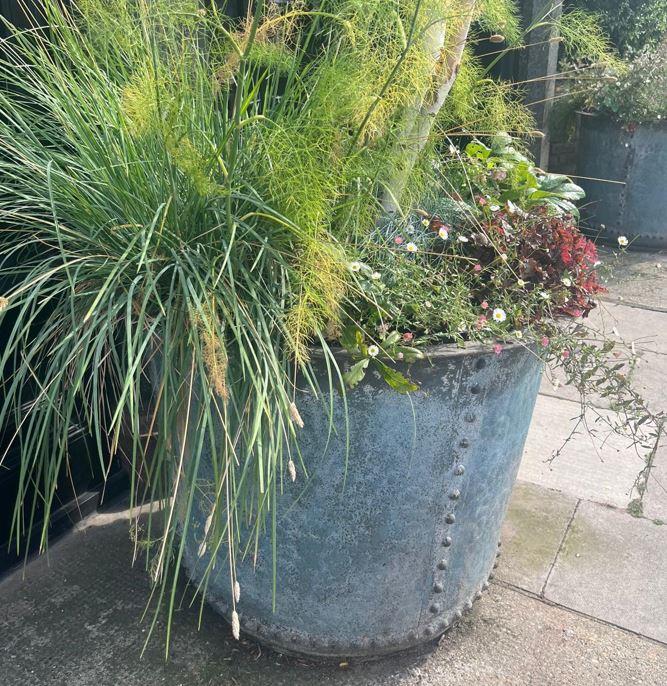 greige Rustic Verdigris Studded Iron Planter - Large