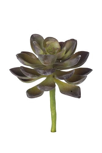 Greige Small Faux Succulent