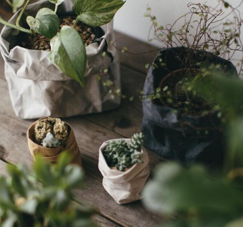 Greige Washable Paper Bag From Italy - Light Grey