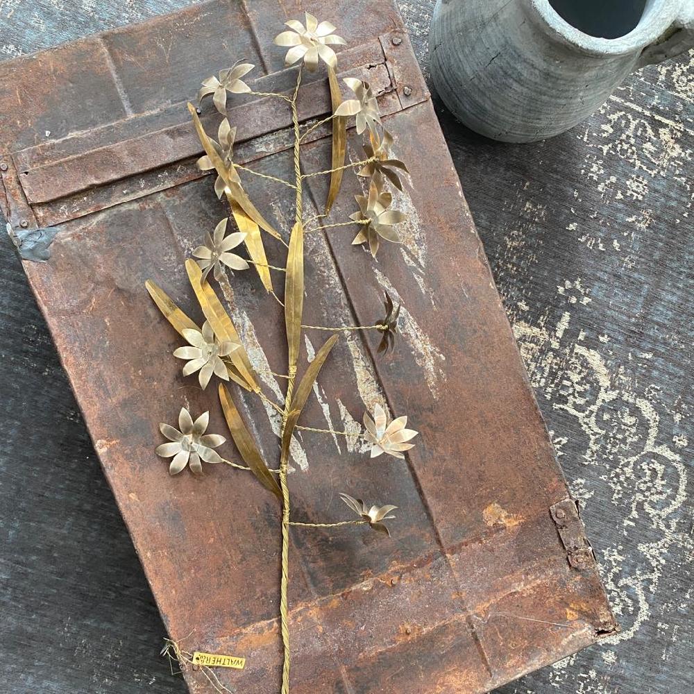 greige Large Wild Flower Stem - Botanical Range - Walther & Co