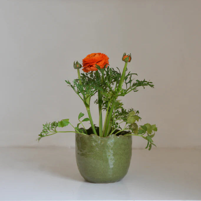 greige Mottled Green Organic Rimmed Flower Pot - Two Size Options