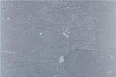 Greige Rustic Pillar Candle - Mouse Grey - Various Sizes