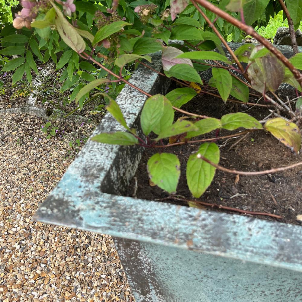 Greige Rustic Verdigris Studded Iron Trough Planter