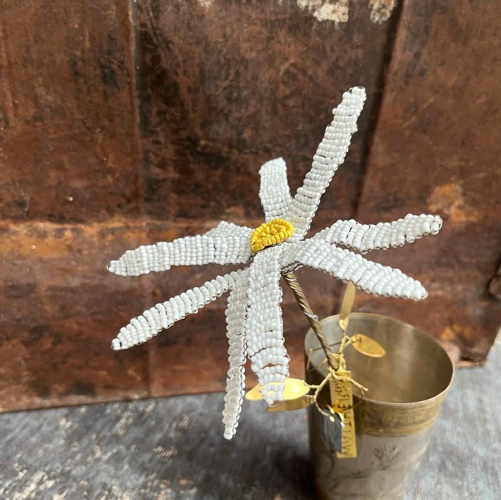 Greige White Beauty Flower Stem - Botanical Range - Walther & Co