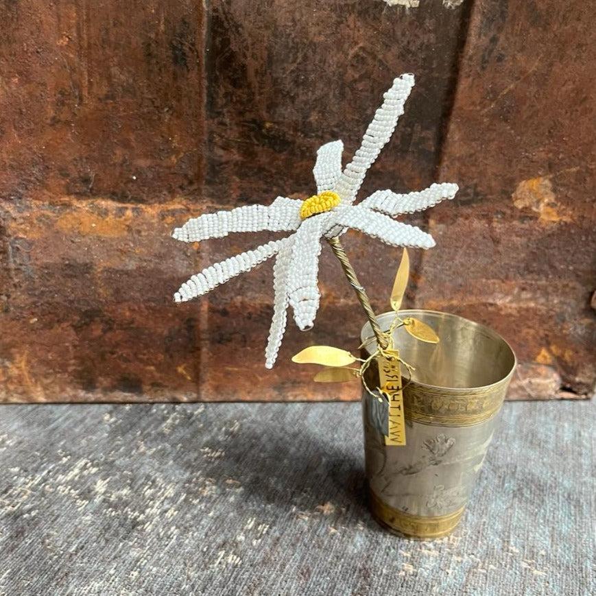 greige White Beauty Flower Stem - Botanical Range - Walther & Co
