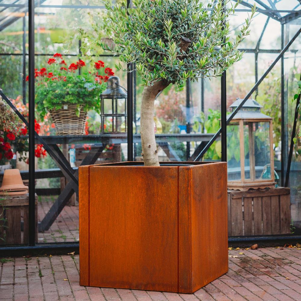 grillsymbol GrillSymbol Corten Steel Planter Clara XL