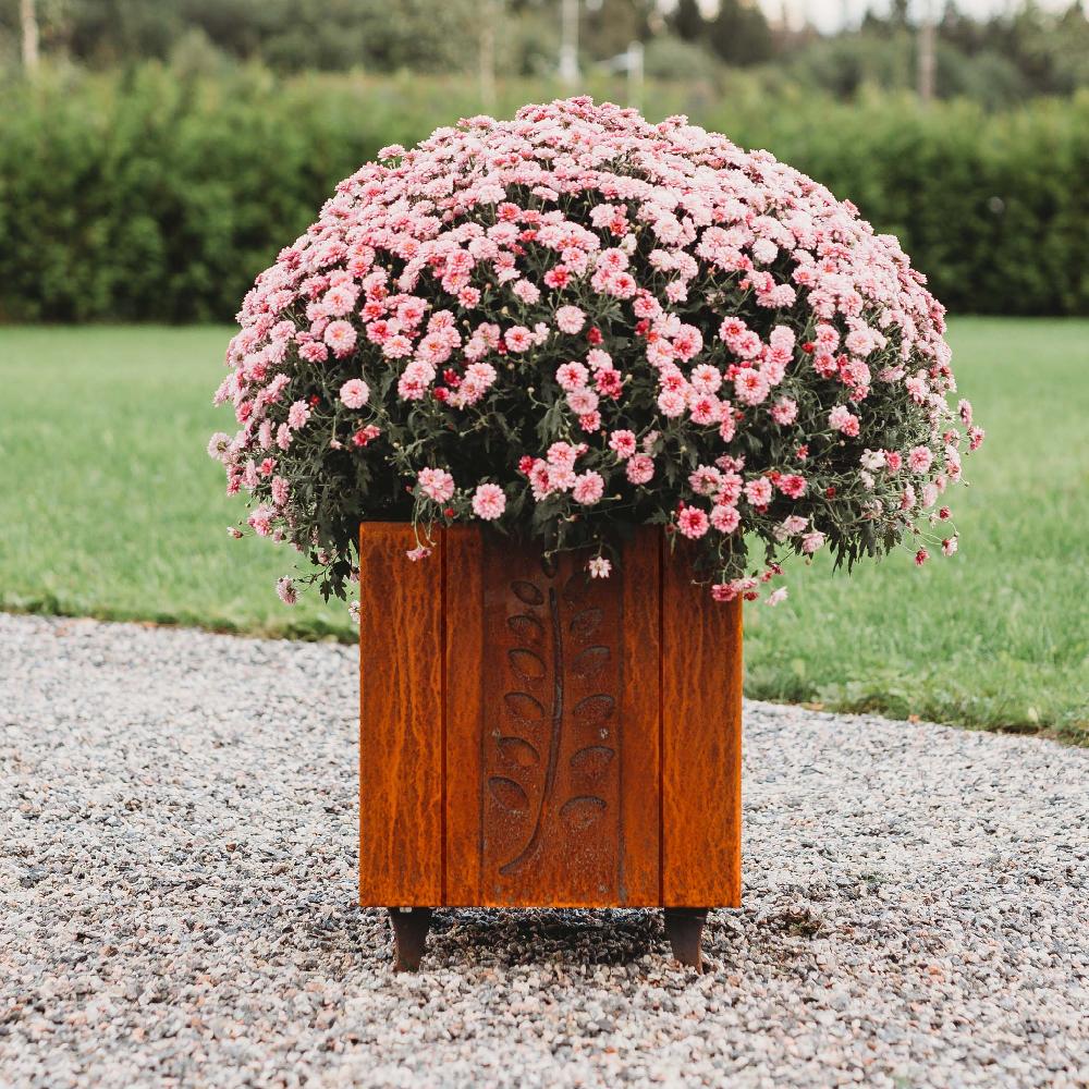 grillsymbol GrillSymbol Corten Steel Planter Fat Ballerina
