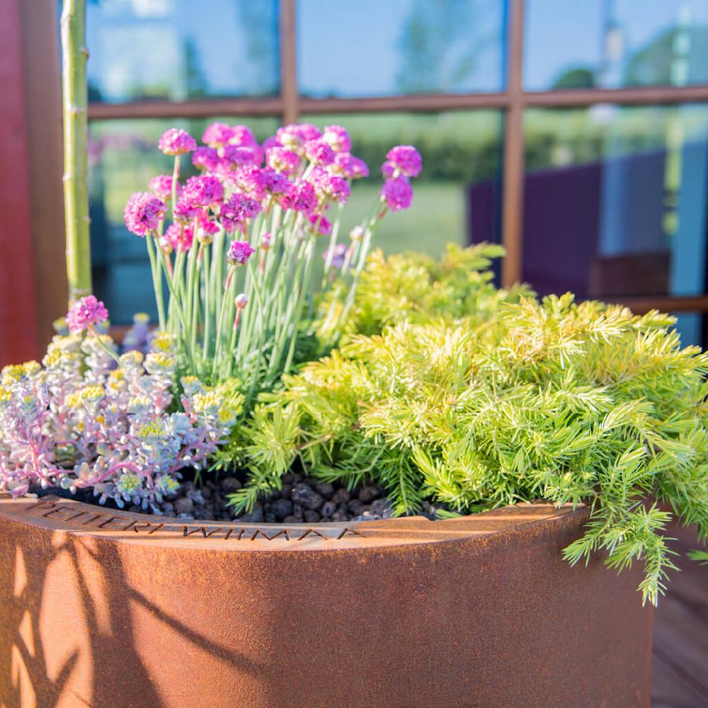 Grillsymbol GrillSymbol Corten Steel Planter Myy-XXL