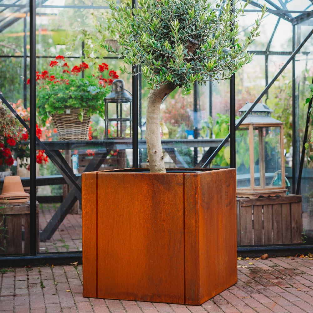 Grillsymbol GrillSymbol Corten Steel Planters Set Of 3 Large Clara