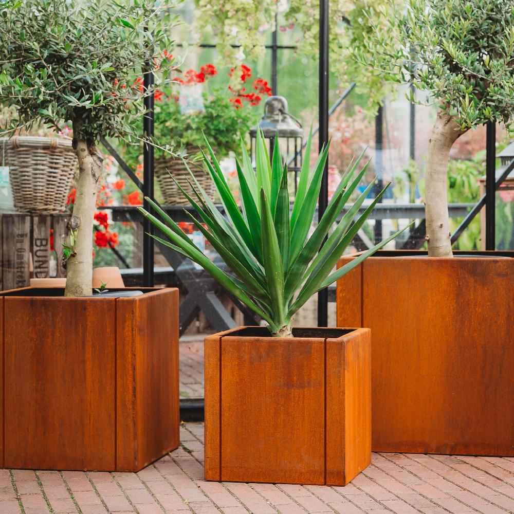 grillsymbol GrillSymbol Corten Steel Planters Set of 3 Large Clara