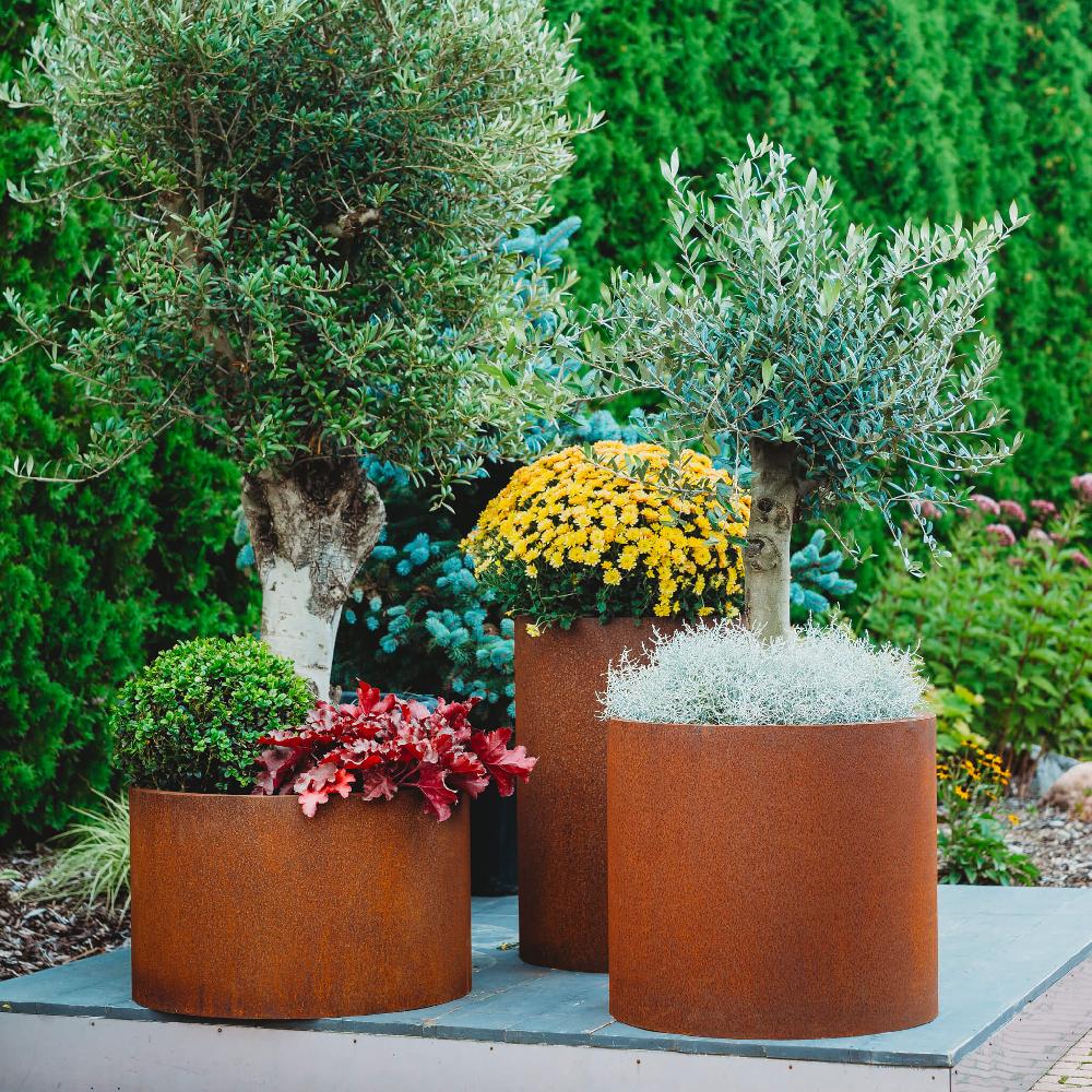 Grillsymbol GrillSymbol Corten Steel Planters Set Of 3 Sisters