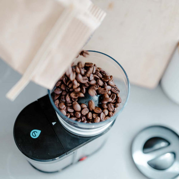 Grosche BREMEN BURR Electric Burr Coffee Grinder 20 Grind Settings Compact Coffee Grinder
