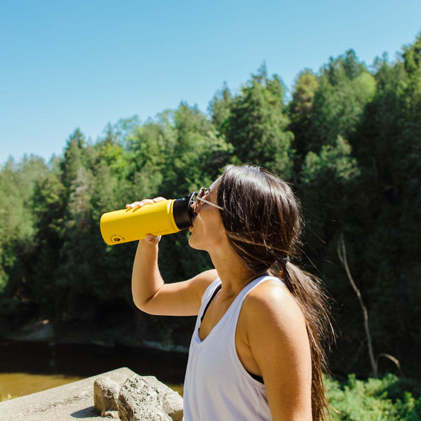 Grosche CHICAGO STEEL Insulated Water Bottle With Infuser Travel Flask Tea Bottle With Chug Lid 32oz