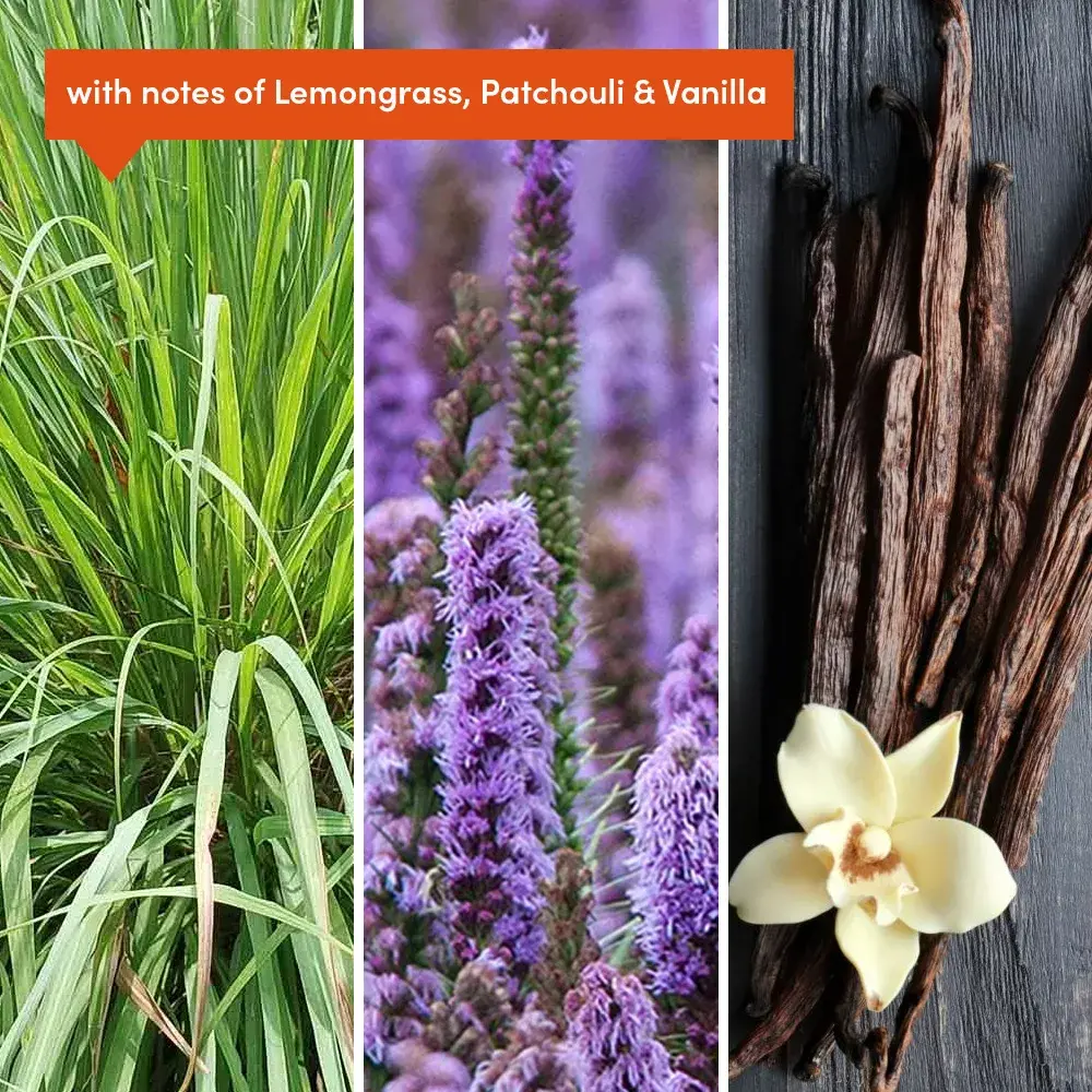 Grüum. Lÿs Soy Wax Candle – The Fire Within | 170g