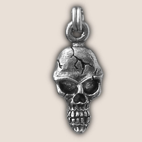 guardian bell ZP07 - Cracked Skull Zipper Pull