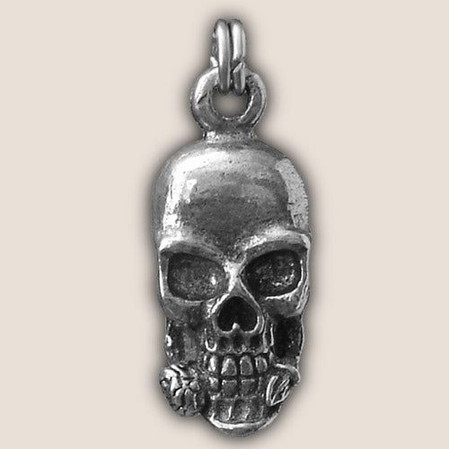 guardian bell ZP08 - Skull Zipper Pull