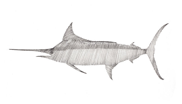 guy harvey Blue Marlin Swimming to the Left Scribble