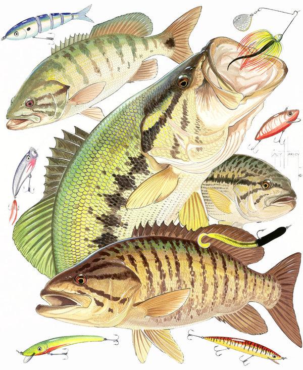 guy harvey Bass Collage
