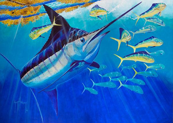 guy harvey BLUE ESCAPE