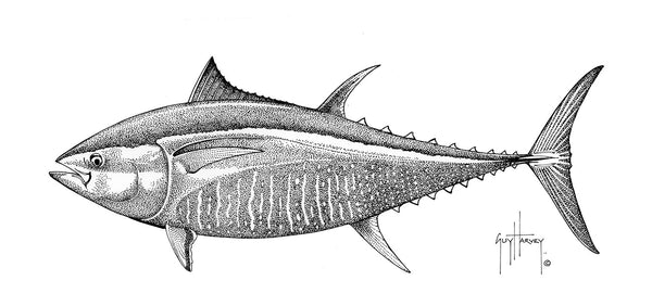 guy harvey Bluefin Tuna Stipple
