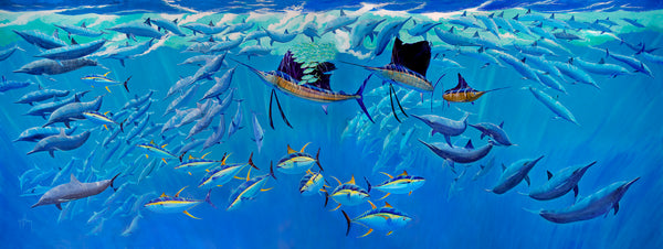 guy harvey Commocean
