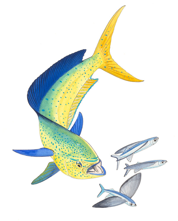 guy harvey Dolphin and Three Flyfish I