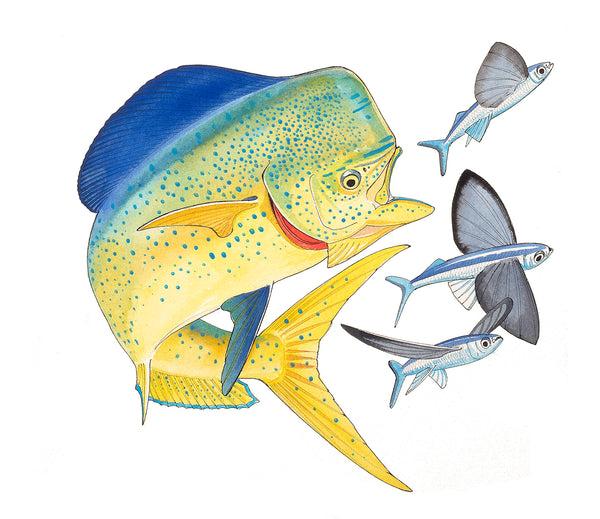 guy harvey Dolphin and Three Flyfish II