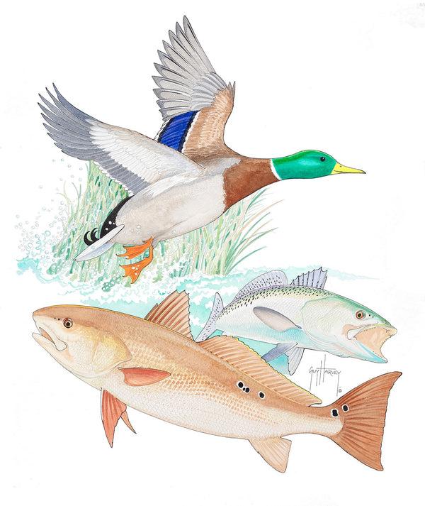 guy harvey Ducks Unlimited