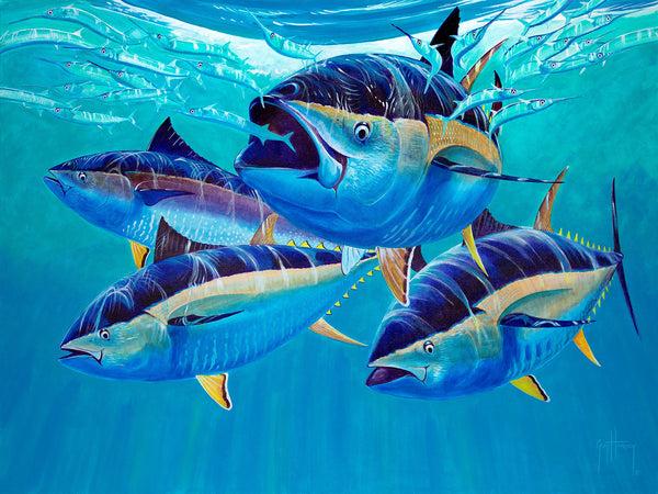 guy harvey Follow Thru