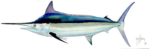 guy harvey FOTOO BLACK MARLIN MALE