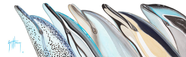 guy harvey Happy Trails