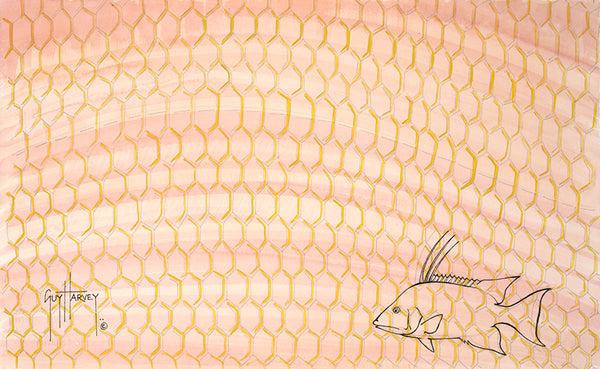 guy harvey Hogfish Skin