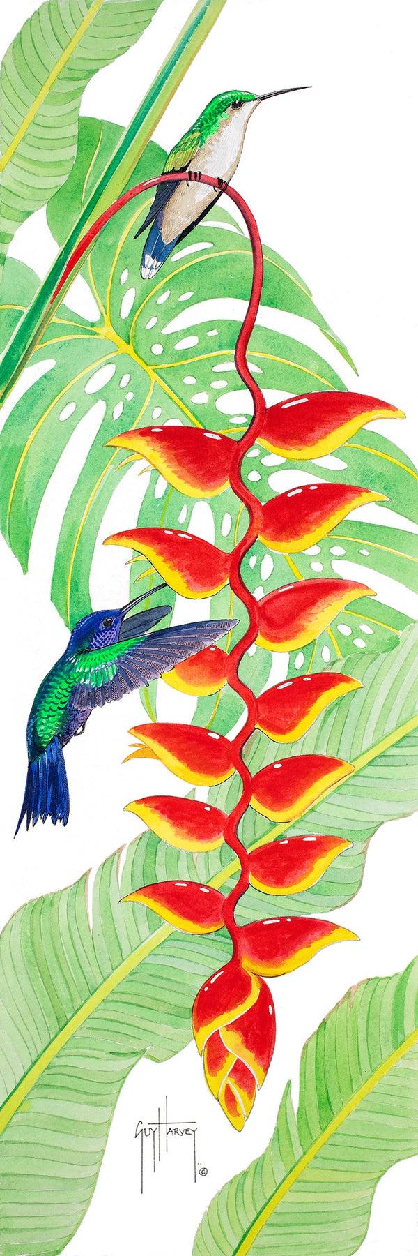 guy harvey Lobster Claw