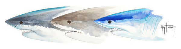 guy harvey Shark Heads II