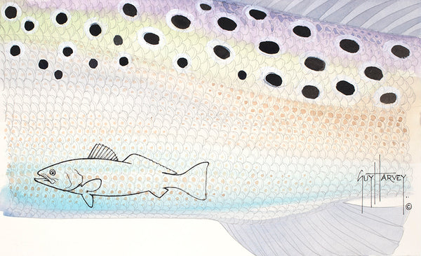 guy harvey Spotted Sea Trout Skin