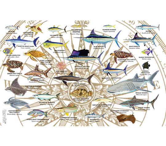 Guy Harvey Tervis Charts